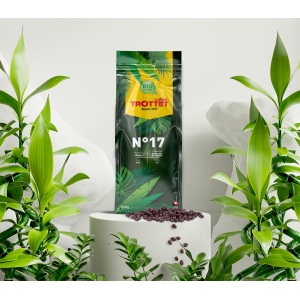 Café en grains bio N°17 Bio