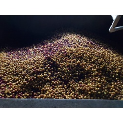 Les Mélanges Audacieux Chaud Devant en Grains 250G Cafés Trottet