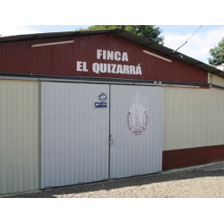 Costa Rica El Quizarra Caracolis 250G