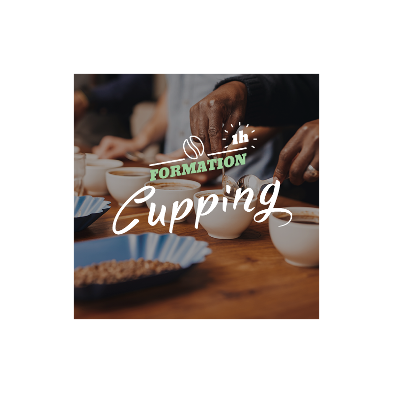 Atelier Cupping