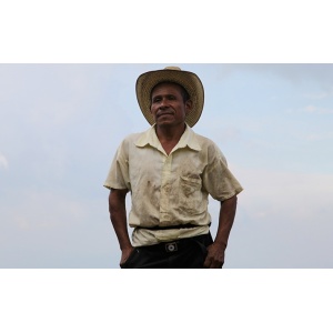 Coffeebeans Salvador La Cumbre Honey
