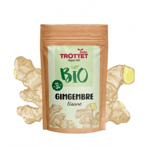 Tisane Gingembre Bio en...