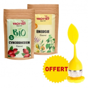 Cynorrhodon & Energie +...